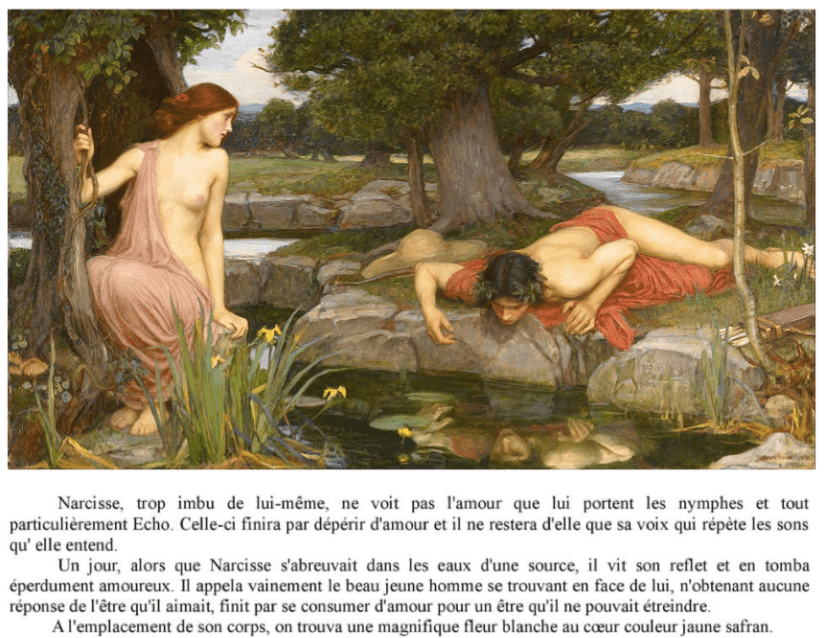 Narcisse mythe